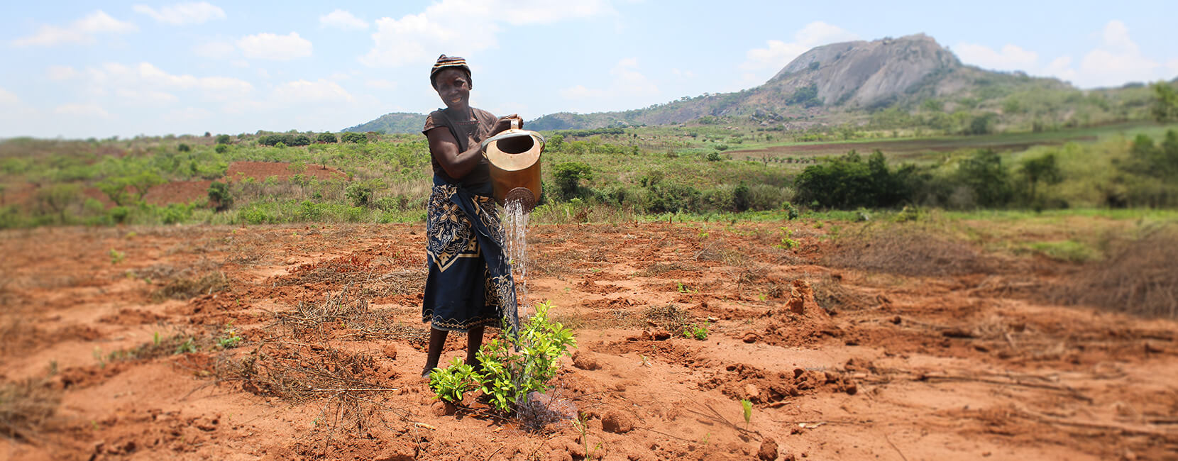 A woman waters a small plant in a dry field using a metal watering can, smiling under the sun with hills and a mountain in the background; part of a sustainable farming gift project by Penny Appeal.